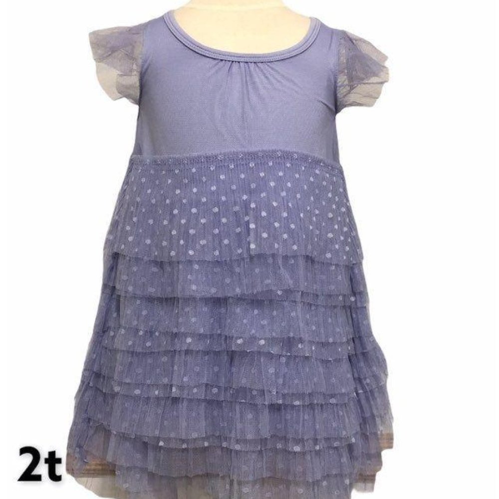 Dot Dot Smile Fancy Dress - 2T
